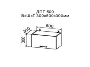 Шкаф верхний ДПГ500 горизонтальный в Нягани - nyagan.магазин96.com | фото