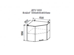 Шкаф верхний ДПУ600 угловой в Нягани - nyagan.магазин96.com | фото